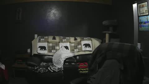 Grand Zaddy or Jay its casual online show from 21, 9, 2025