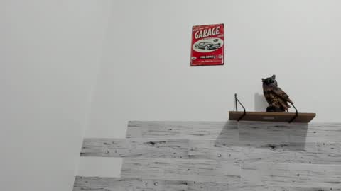 Jaycreedd online show from 9, 3, 2025