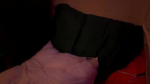 Jaysobricked online show from 6, 10, 2025