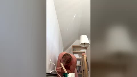 jbingham430 online show from 24, 3, 2026