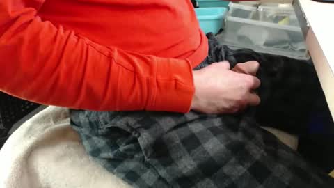 jc200000 online show from 17, 12, 2025