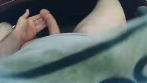 jd_pie online show from 14, 11, 2025