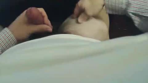 jd_pie online show from 7, 1, 2026