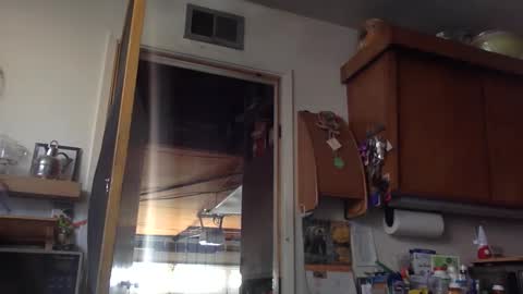 Snapshot of jdubba420 chatting on 27, 10, 2025 jdubba420 online show from 27, 10, 2025