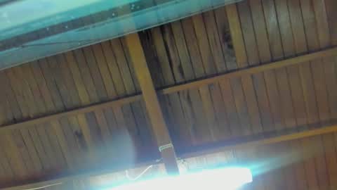 jeicob gagnon online show from 15, 9, 2025