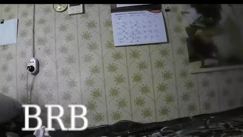 Snapshot of jellykulli chatting on 3, 3, 2025 jellykulli online show from 3, 3, 2025