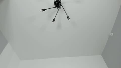 Dolly online show from 2, 2, 2025