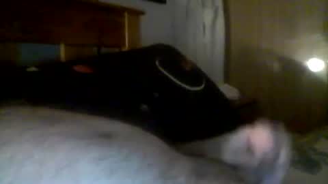 Snapshot of jerkmate6666 chatting on 21, 12, 2024 jerkmate6666 online show from 21, 12, 2024