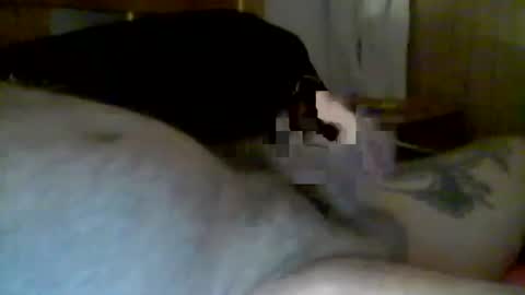 Snapshot of jerkmate6666 chatting on 13, 1, 2025 jerkmate6666 online show from 13, 1, 2025