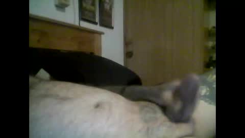 Snapshot of jerkmate6666 chatting on 16, 9, 2025 jerkmate6666 online show from 16, 9, 2025