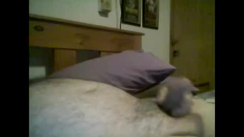 Snapshot of jerkmate6666 chatting on 14, 10, 2025 jerkmate6666 online show from 14, 10, 2025