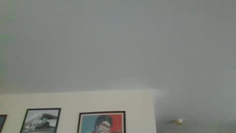 Harry online show from 28, 12, 2024