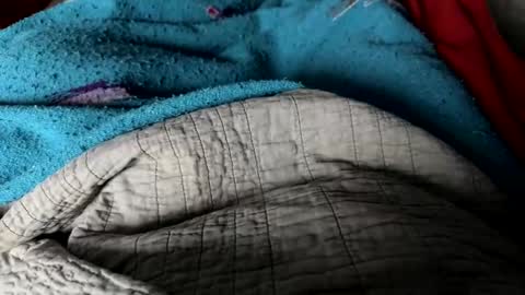 Jeremys room chill and puff one enjoy online show from 25, 12, 2024