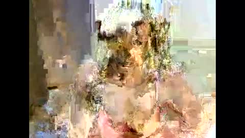 jessajoyy online show from 1, 2, 2025