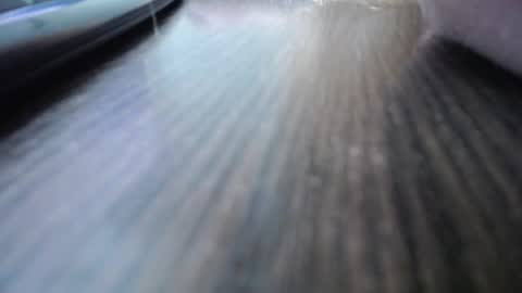 Jess online show from 7, 12, 2024