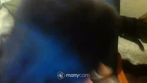 Snapshot of jessjess4you chatting on 15, 2, 2025 jessjess4you online show from 15, 2, 2025