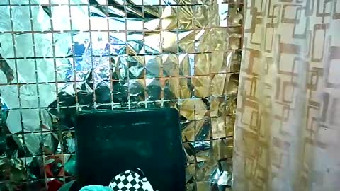 Snapshot of jet_clomet21 chatting on 16, 2, 2025 Ale online show from 16, 2, 2025