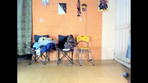 Jharol  online show from 14, 3, 2026