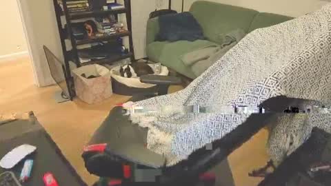 jimmygotya online show from 13, 4, 2026