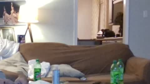 jkelly92081bean online show from 5, 10, 2025