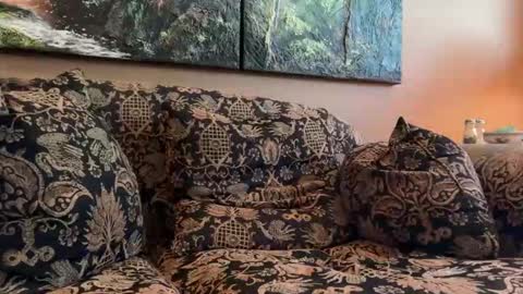 jlk7777 online show from 17, 4, 2026