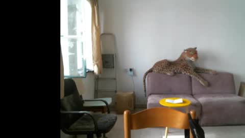 jlmbud online show from 29, 9, 2025