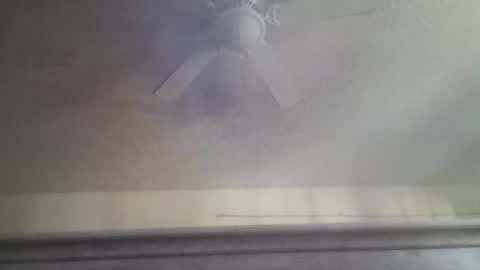 Snapshot of jmartel92 chatting on 2, 2, 2026 jmartel92 online show from 2, 2, 2026