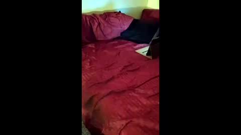 joeborrowman7 online show from 1, 3, 2026