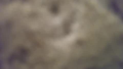 Snapshot of joemomma612 chatting on 14, 10, 2025 joemomma612 online show from 14, 10, 2025