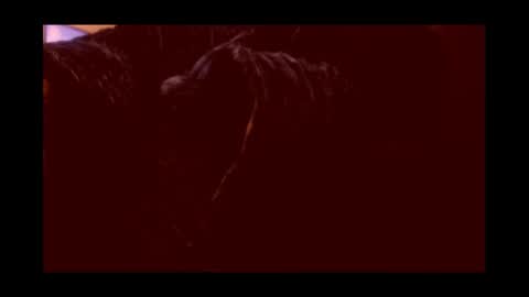 Joeygumbo online show from 3, 1, 2025