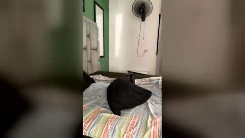 johan online show from 16, 1, 2026