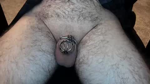 johnnyworld online show from 28, 12, 2024