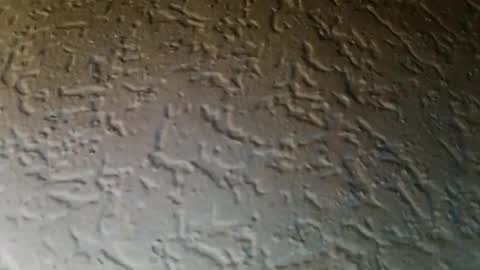 jojo811301 online show from 9, 1, 2026