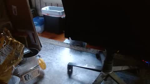 joncpics online show from 6, 11, 2025