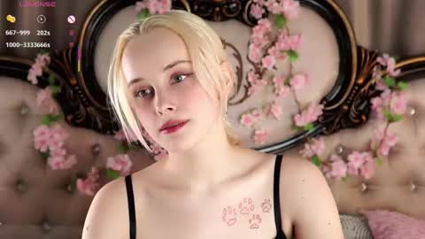 Alice online show from 17, 4, 2026