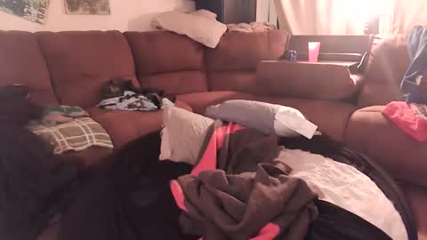 JayHungster xxx online show from 20, 10, 2025