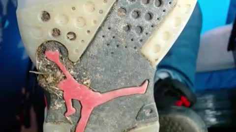 jordan33blake online show from 13, 2, 2025