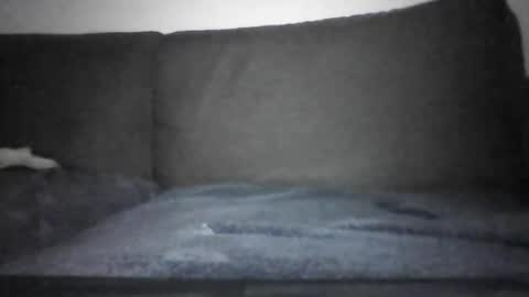 Snapshot of josei_h chatting on 12, 12, 2024 Hentai Jo online show from 12, 12, 2024