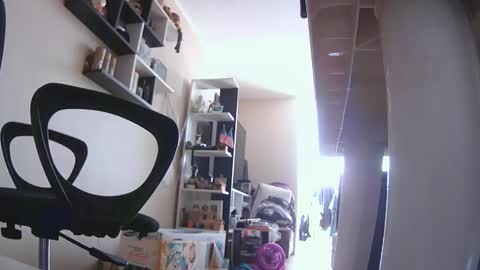 joshperu20 online show from 1, 3, 2026