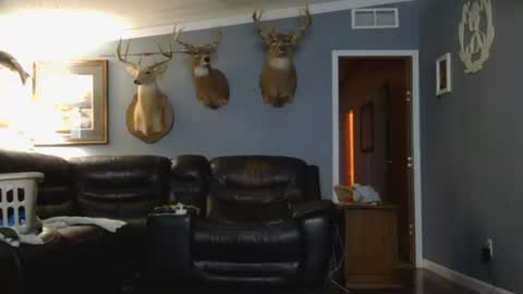 Josh online show from 26, 3, 2026