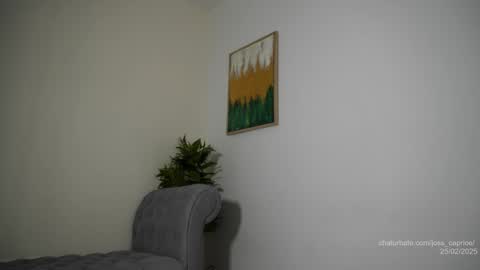 Joss  online show from 25, 2, 2025