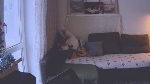 Snapshot of joy_keys chatting on 9, 1, 2025 joy_keys online show from 9, 1, 2025