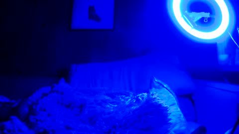 Snapshot of jroge21 chatting on 9, 3, 2025 jroge21 online show from 9, 3, 2025