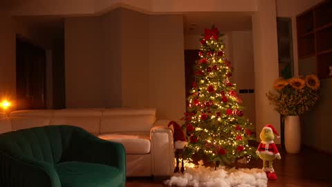 Jennifer Diaz online show from 14, 12, 2024