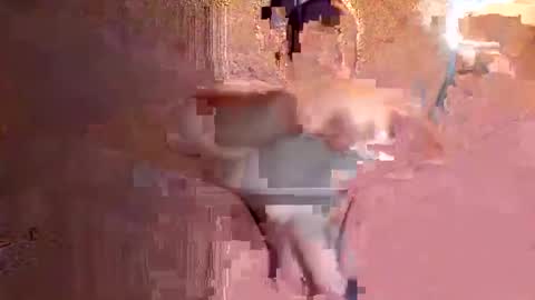 juan575390 online show from 17, 12, 2024