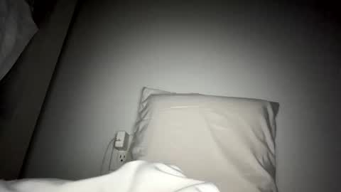 Snapshot of juangsnow chatting on 28, 1, 2025 Juan Gabriel online show from 28, 1, 2025