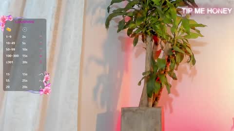 Juan Miguel online show from 3, 2, 2025