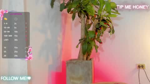 Juan Miguel online show from 5, 2, 2025