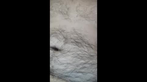 juegopromax707909 online show from 27, 4, 2026