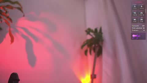 Sisi online show from 6, 4, 2026